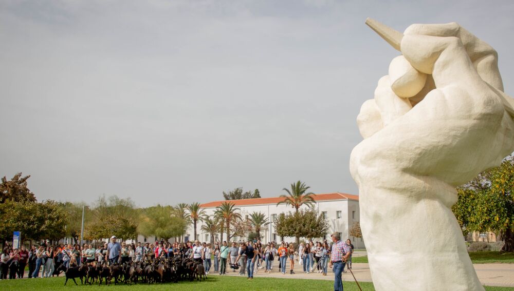 Los estudiantes aplauden al pastor en el campus