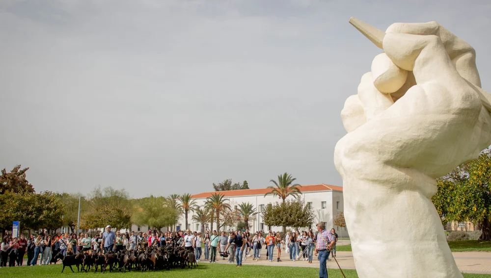 Los estudiantes aplauden al pastor en el campus Los estudiantes aplauden al pastor en el campus