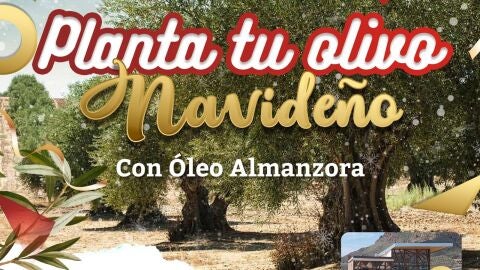 pulpi-olivos navide&ntilde;os