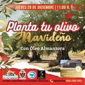 pulpi-olivos navideños