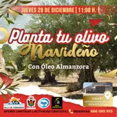 pulpi-olivos navideños pulpi-olivos navideños