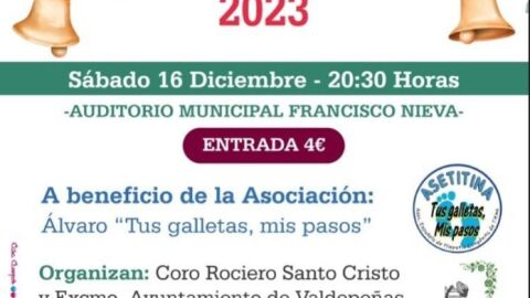 XXVI Festival de Villancicos de Valdepe&ntilde;as