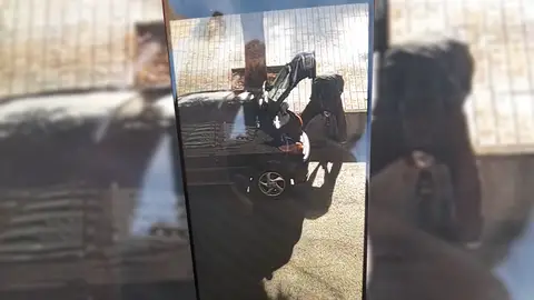 El detenido fue grabado por un ciudadano con su teléfono móvil en pleno robo de una rejilla del alcantarillado. El detenido fue grabado por un ciudadano con su teléfono móvil en pleno robo de una rejilla del alcantarillado.