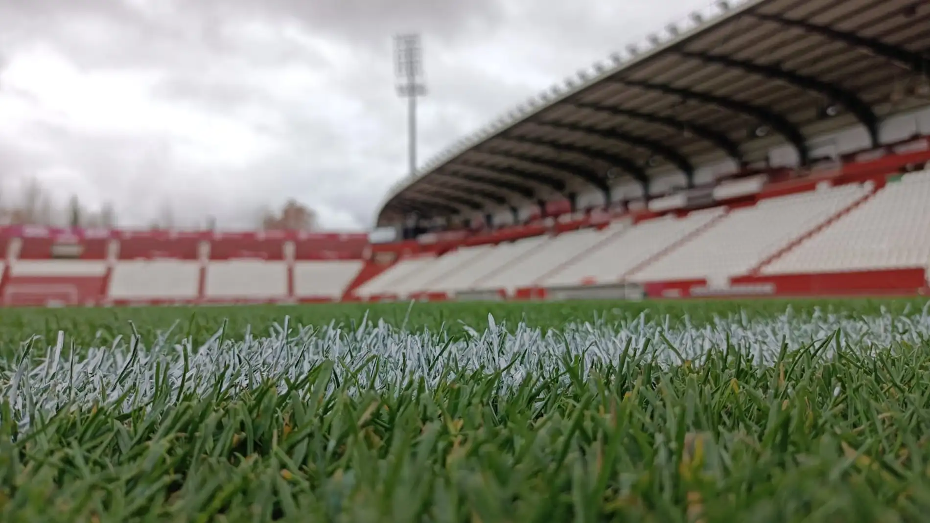 Césped del Carlos Belmonte, estadio del Albacete Balompié