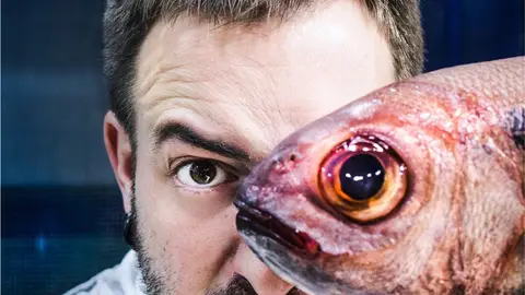 Iñaki Andradas Iñaki Andradas