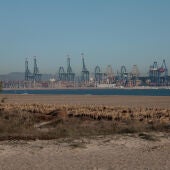 La futura ampliación norte del puerto de València