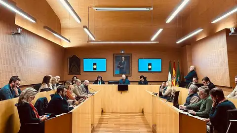 Imagen de archivo del Pleno del Ayuntamiento de El Puerto Imagen de archivo del Pleno del Ayuntamiento de El Puerto