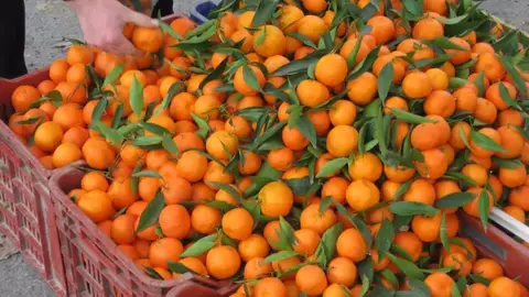 Naranjas Naranjas