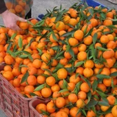 Naranjas Naranjas