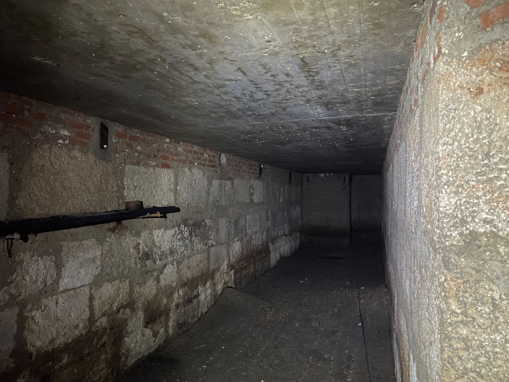 Noticias Alcalá de Henares matinal 19/12/2023 Noticias Alcalá de Henares matinal 19/12/2023