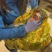 Una enfermera con la recién nacida encontrada en el contenedor de basura Una enfermera con la recién nacida encontrada en el contenedor de basura