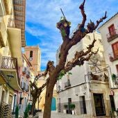 La asociación del Casco Antiguo de La Vila reclama bonificaciones fiscales para incentivar el comercio local