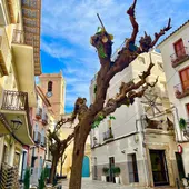 La asociación del Casco Antiguo de La Vila reclama bonificaciones fiscales para incentivar el comercio local La asociación del Casco Antiguo de La Vila reclama bonificaciones fiscales para incentivar el comercio local