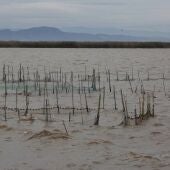 Albufera de Valencia