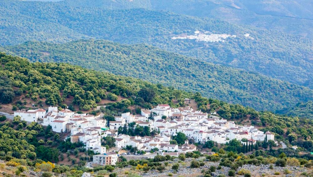 Parauta, Málaga 