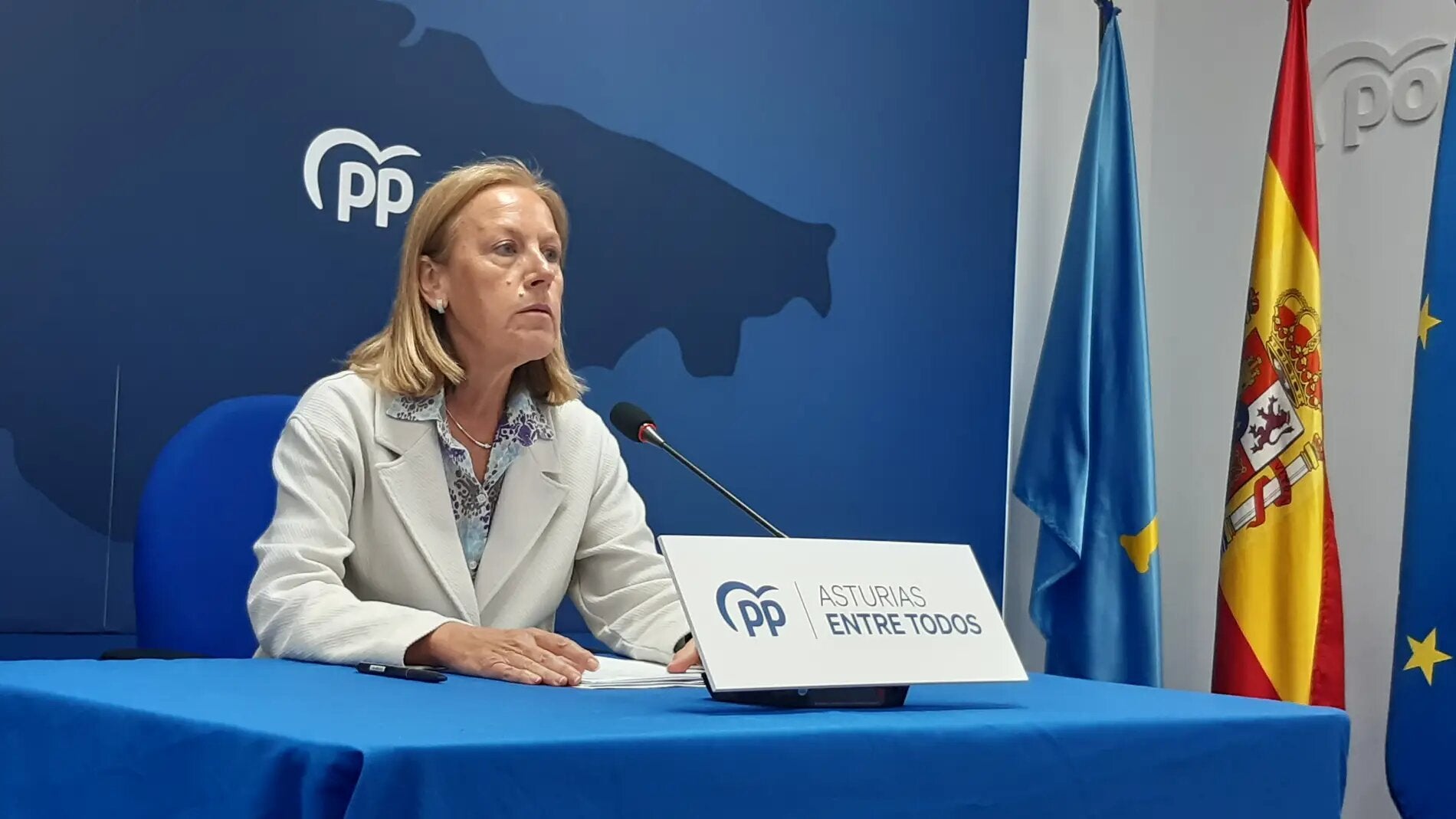 El PP cree que las cuentas para la sanidad no son las que necesitan los asturianos El PP cree que las cuentas para la sanidad no son las que necesitan los asturianos