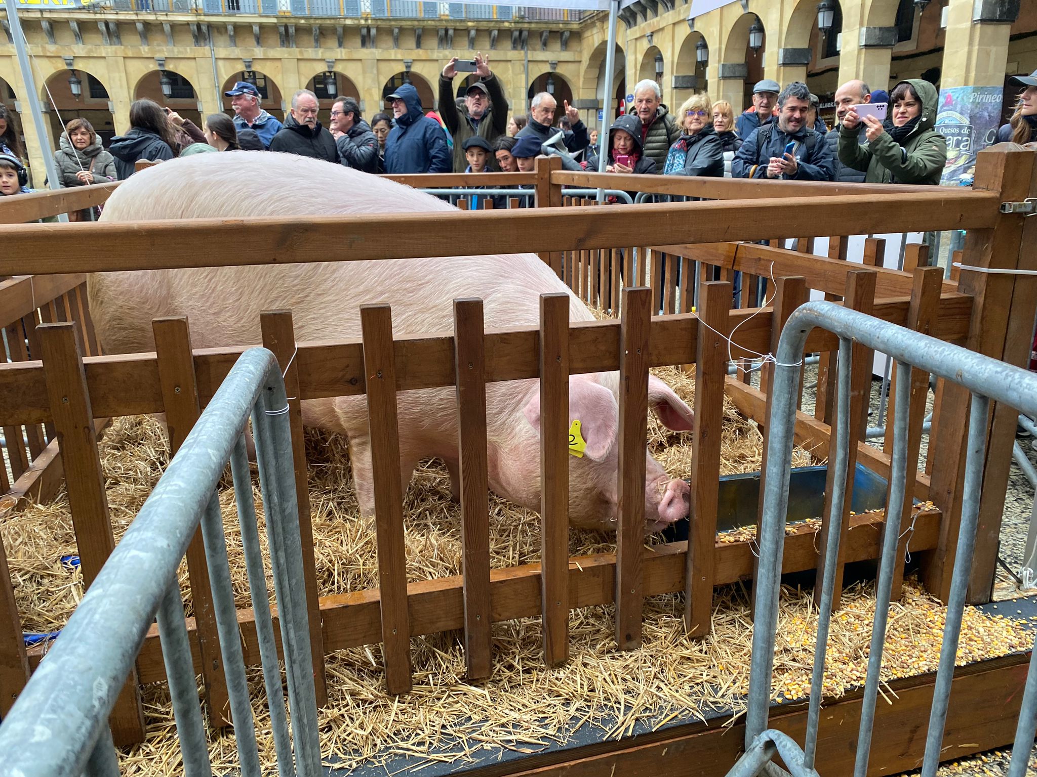 Más de Uno Gipuzkoa con Eduardo Yañez 21/12/2023 Más de Uno Gipuzkoa con Eduardo Yañez 21/12/2023