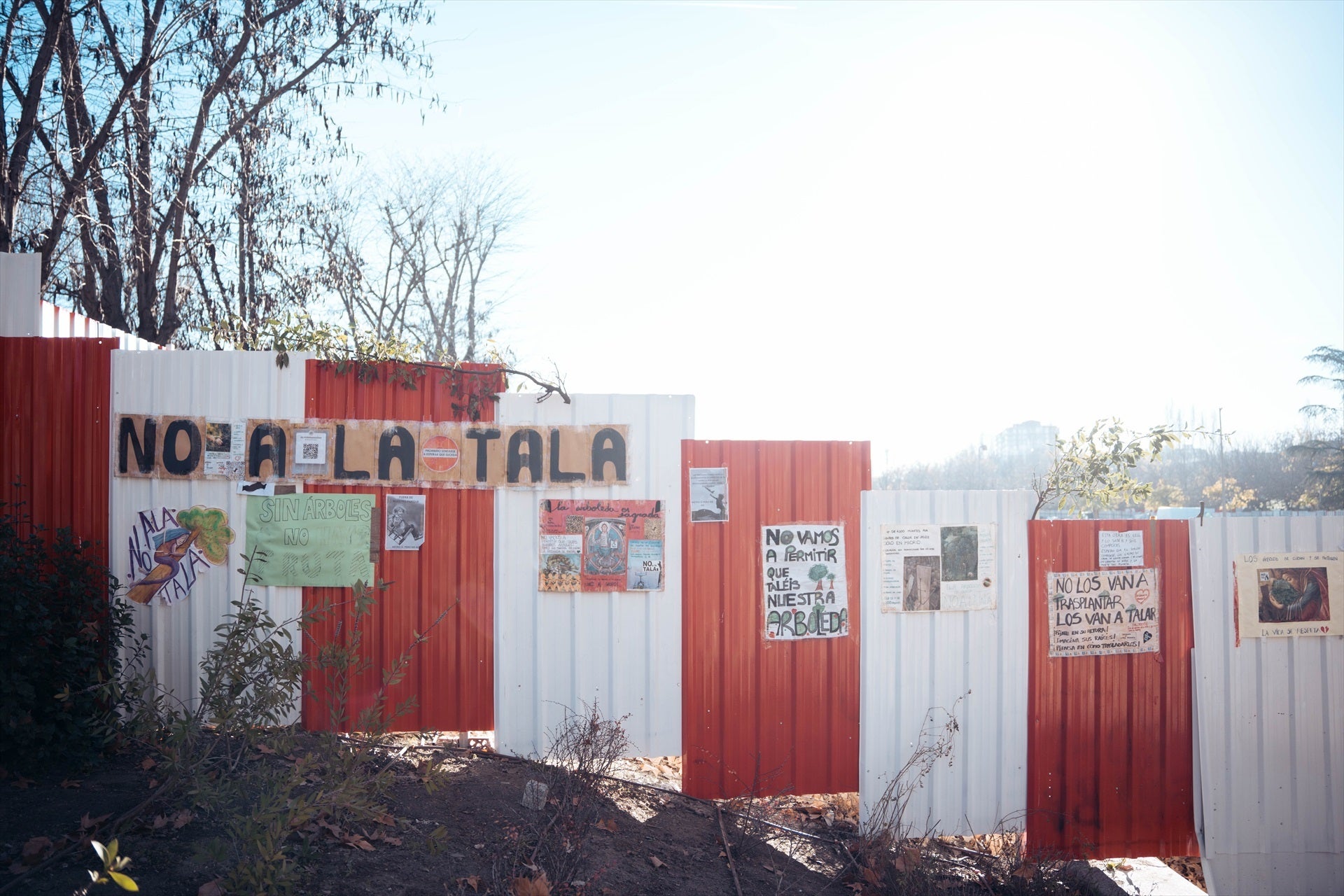 La lucha contra la tala de árboles no descansa La lucha contra la tala de árboles no descansa