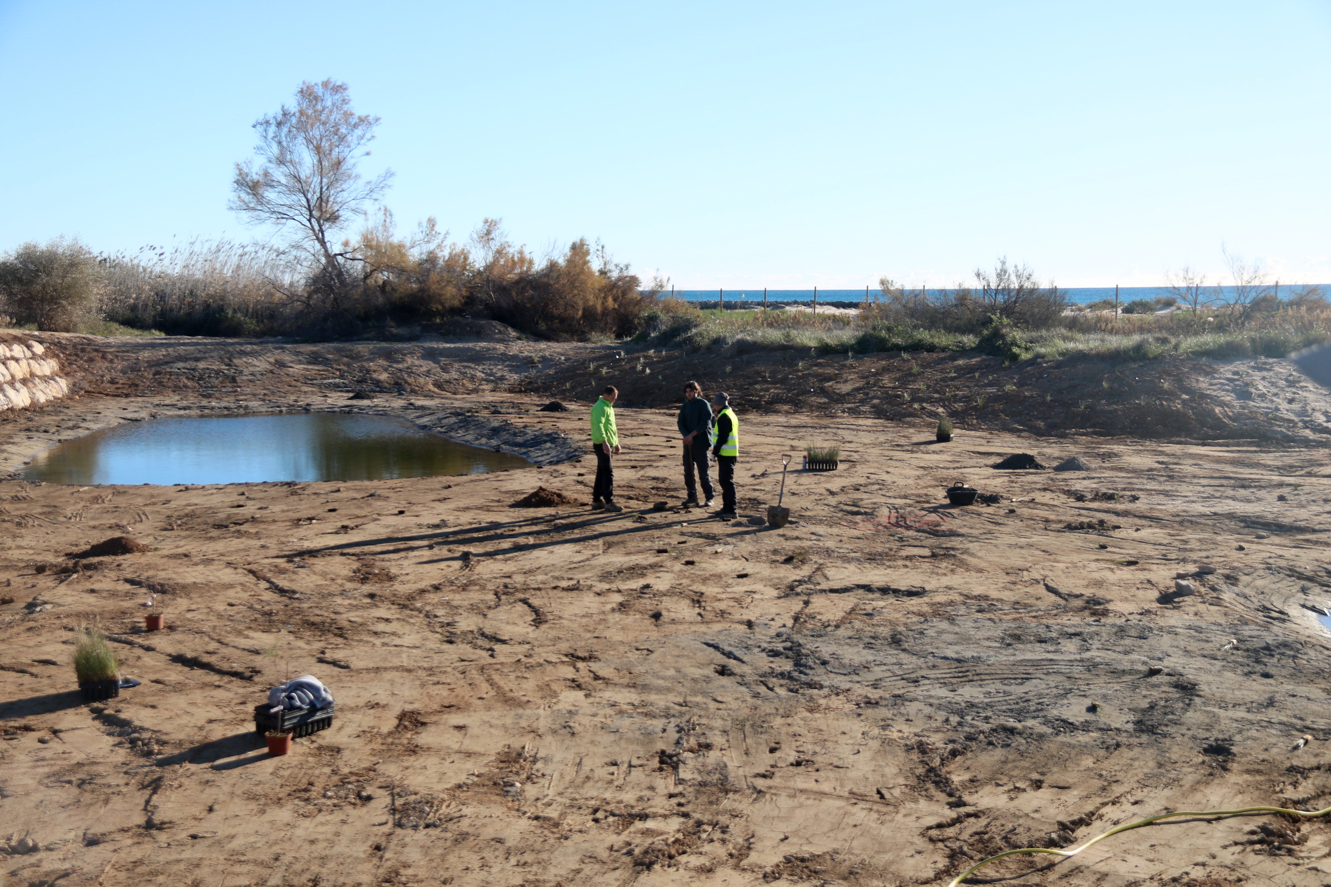 Vilanova recupera els antics aiguamolls de la Platja Llarga, que es troben en procés de desurbanització Vilanova recupera els antics aiguamolls de la Platja Llarga, que es troben en procés de desurbanització