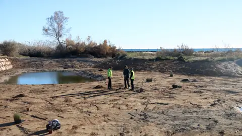 Procés de recuperació de les llacunes Procés de recuperació de les llacunes