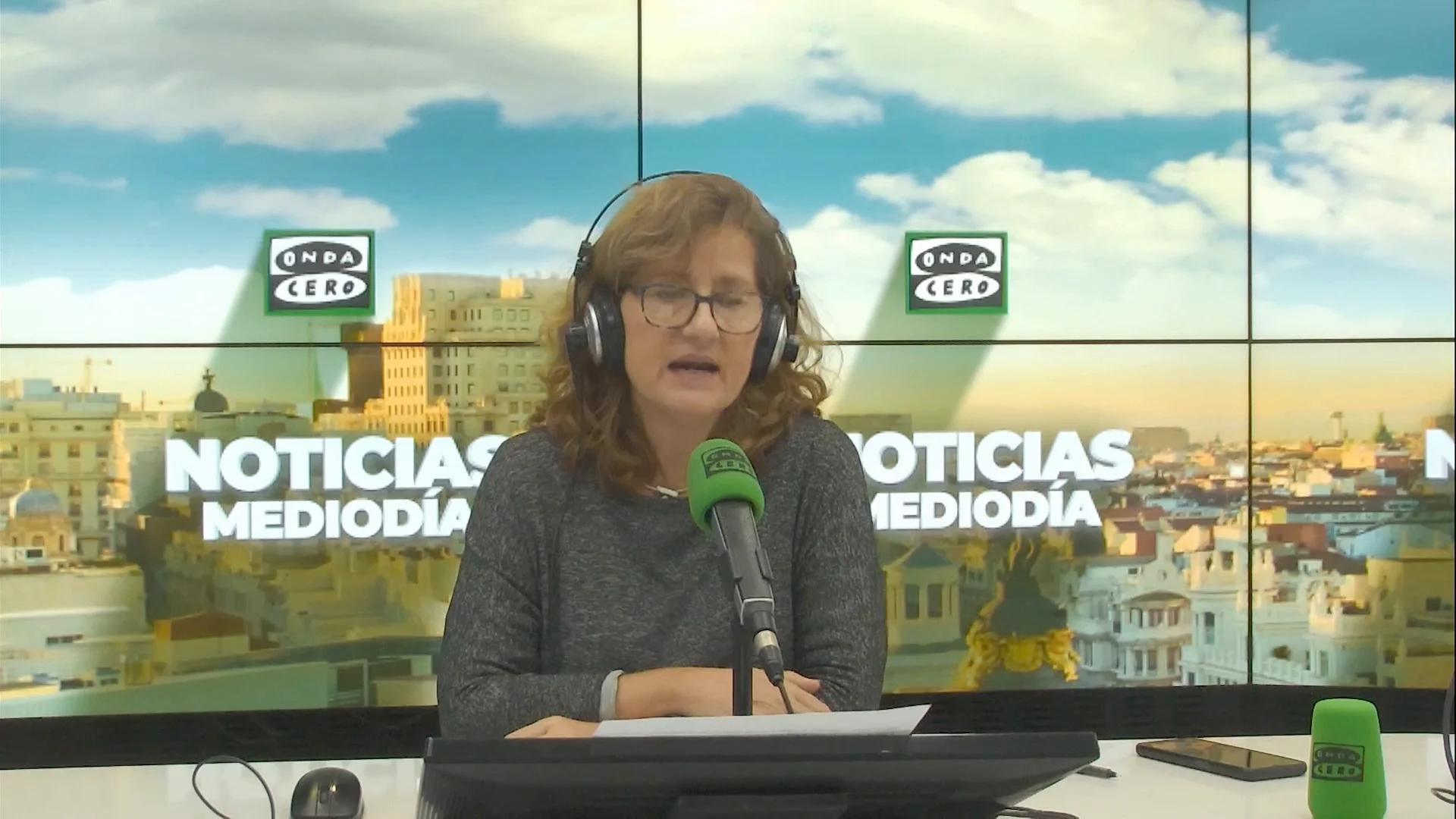 Elena Gijón: "El Gobierno dará a conocer sobre la campana qué ayudas revoca o mantiene" Elena Gijón: "El Gobierno dará a conocer sobre la campana qué ayudas revoca o mantiene"