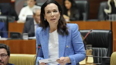 La consejera de Salud y Servicios Sociales, Sara García Espada, imagen de archivo La consejera de Salud y Servicios Sociales, Sara García Espada, imagen de archivo