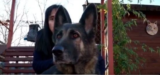 Adopta en JELO: Gospel busca una familia Adopta en JELO: Gospel busca una familia