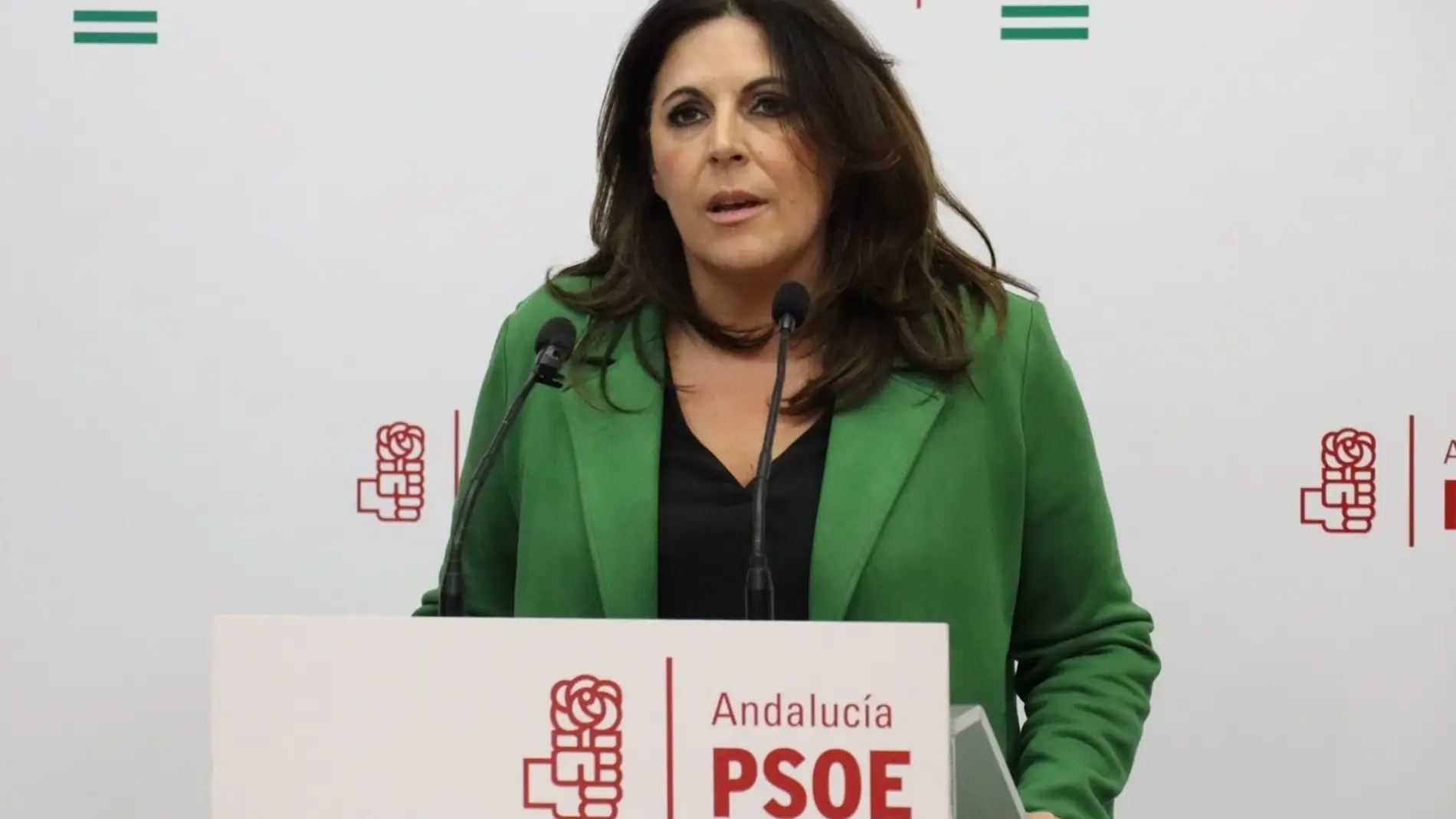 La portavoz socialista en el parlamento andaluz, Ángeles Férriz