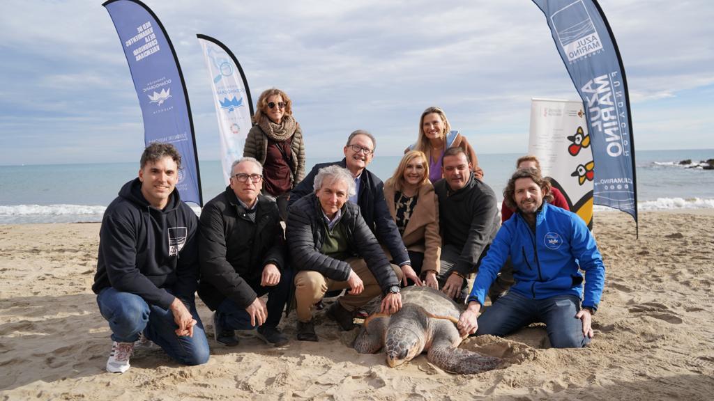Liberada en Castelló la tortuga número 777 recuperada por L'Oceanogràfic Liberada en Castelló la tortuga número 777 recuperada por L'Oceanogràfic