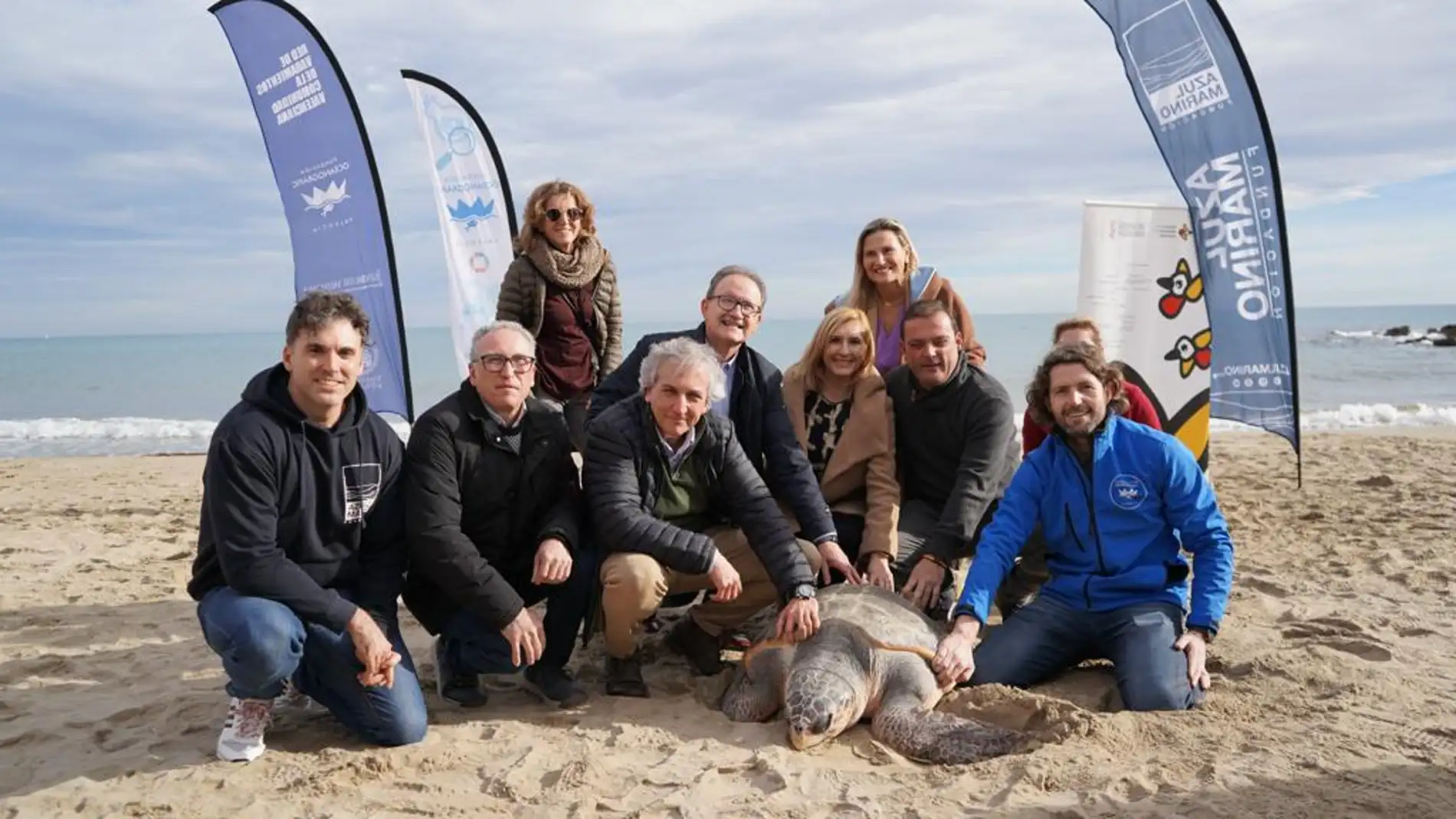 Liberada en Castelló la tortuga número 777 recuperada por L'Oceanogràfic 