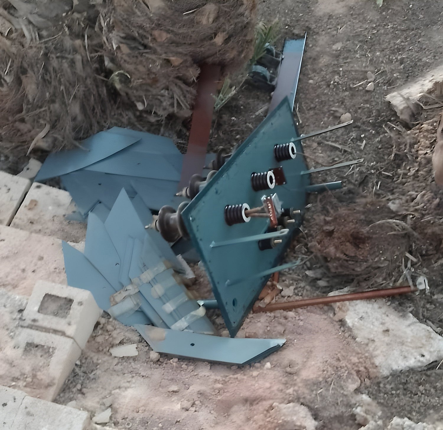 Denuncian una oleada de robos de alcachofas en la comarca de la Vega Baja Denuncian una oleada de robos de alcachofas en la comarca de la Vega Baja