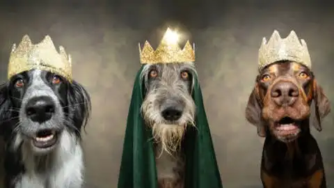 'Tu mascota en la Onda' 'Tu mascota en la Onda'