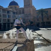 Blanco Palomo es el protagonista de la campaña del Ayuntamiento de Elche contra la alimentación humana a las palomas en las ciudades