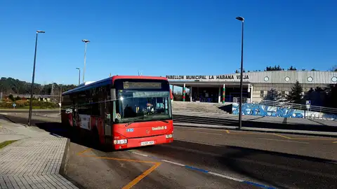 Torrebus Torrebus