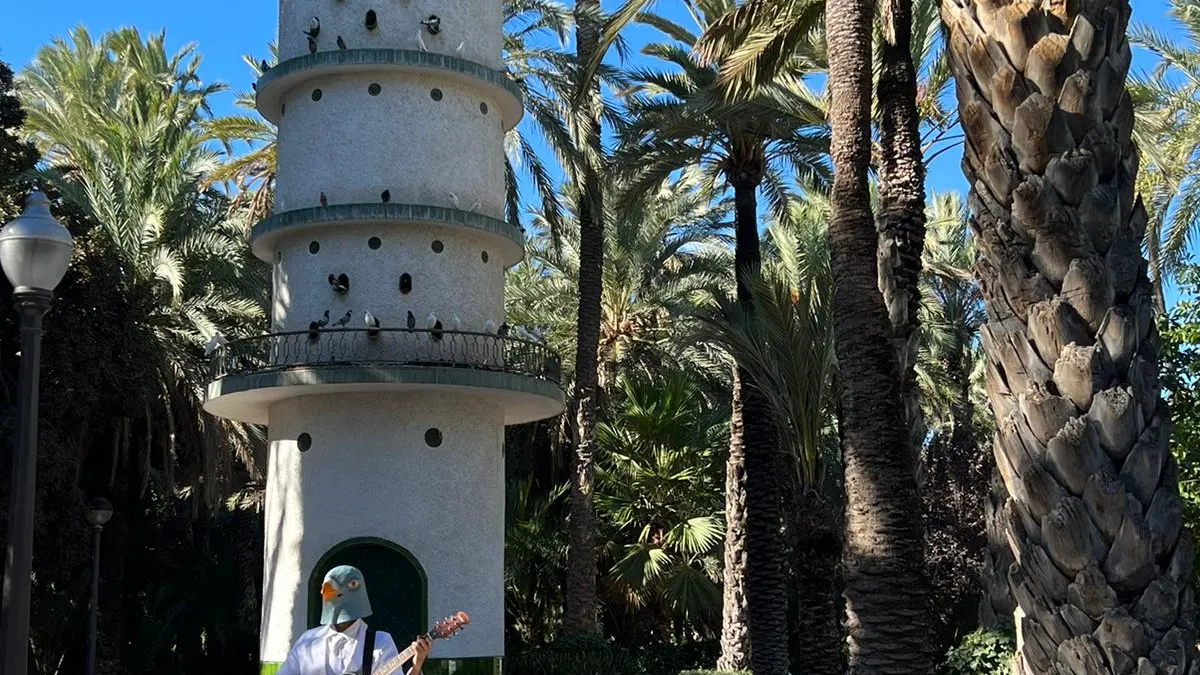Blanco Palomo, protagonista de la campaña viral del Ayuntamiento de Elche