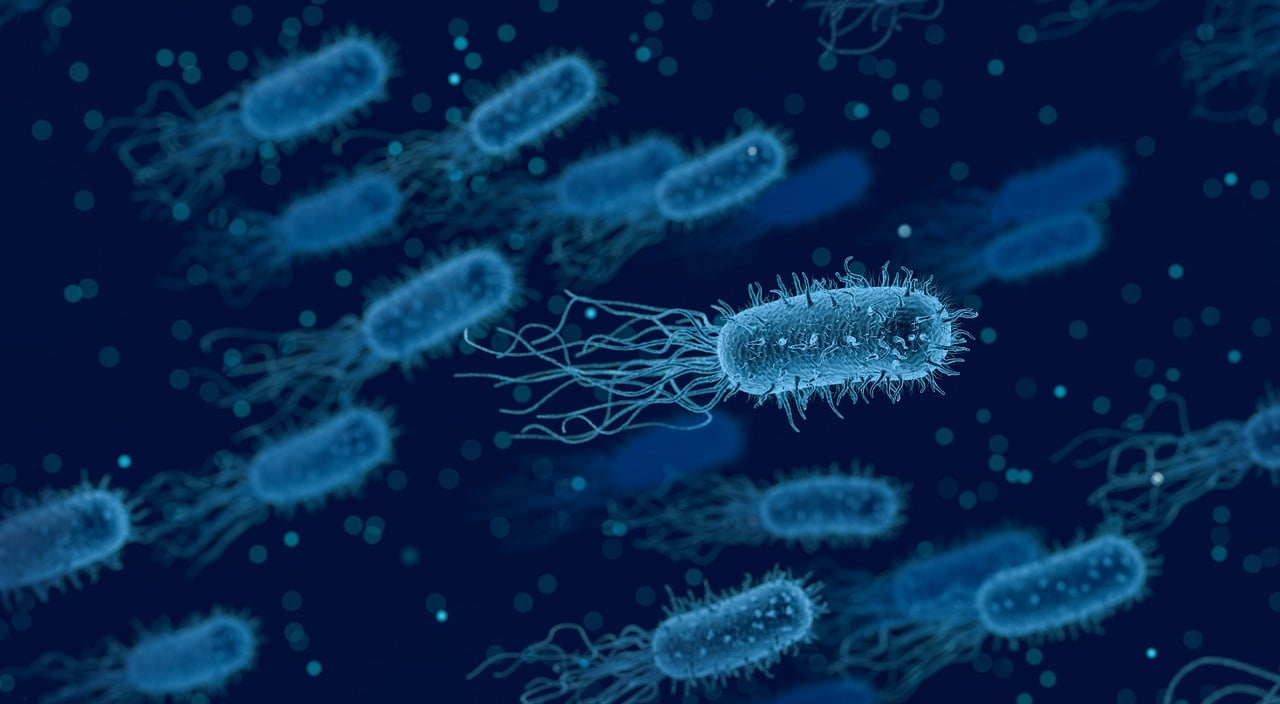 Descubren un nuevo antibiótico que muestra resultados "prometedores" contra una bacteria multirresistente Descubren un nuevo antibiótico que muestra resultados "prometedores" contra una bacteria multirresistente