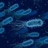 Imagen de archivo de bacterias.