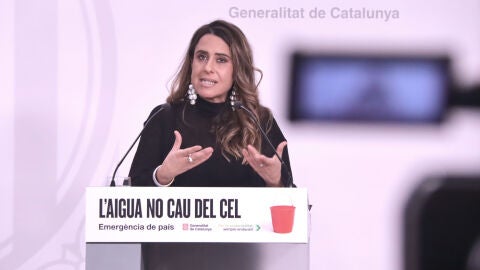 La portaveu del govern, Patr&iacute;cia Plaja, en una compareixen&ccedil;a despr&eacute;s de la reuni&oacute; del consell executiu