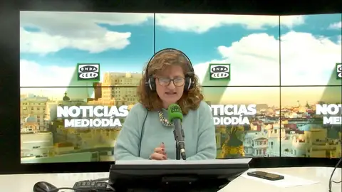 Elena Gijón: "El atasco en la Sanidad Pública viene de un problema estructural" Elena Gijón: "El atasco en la Sanidad Pública viene de un problema estructural"