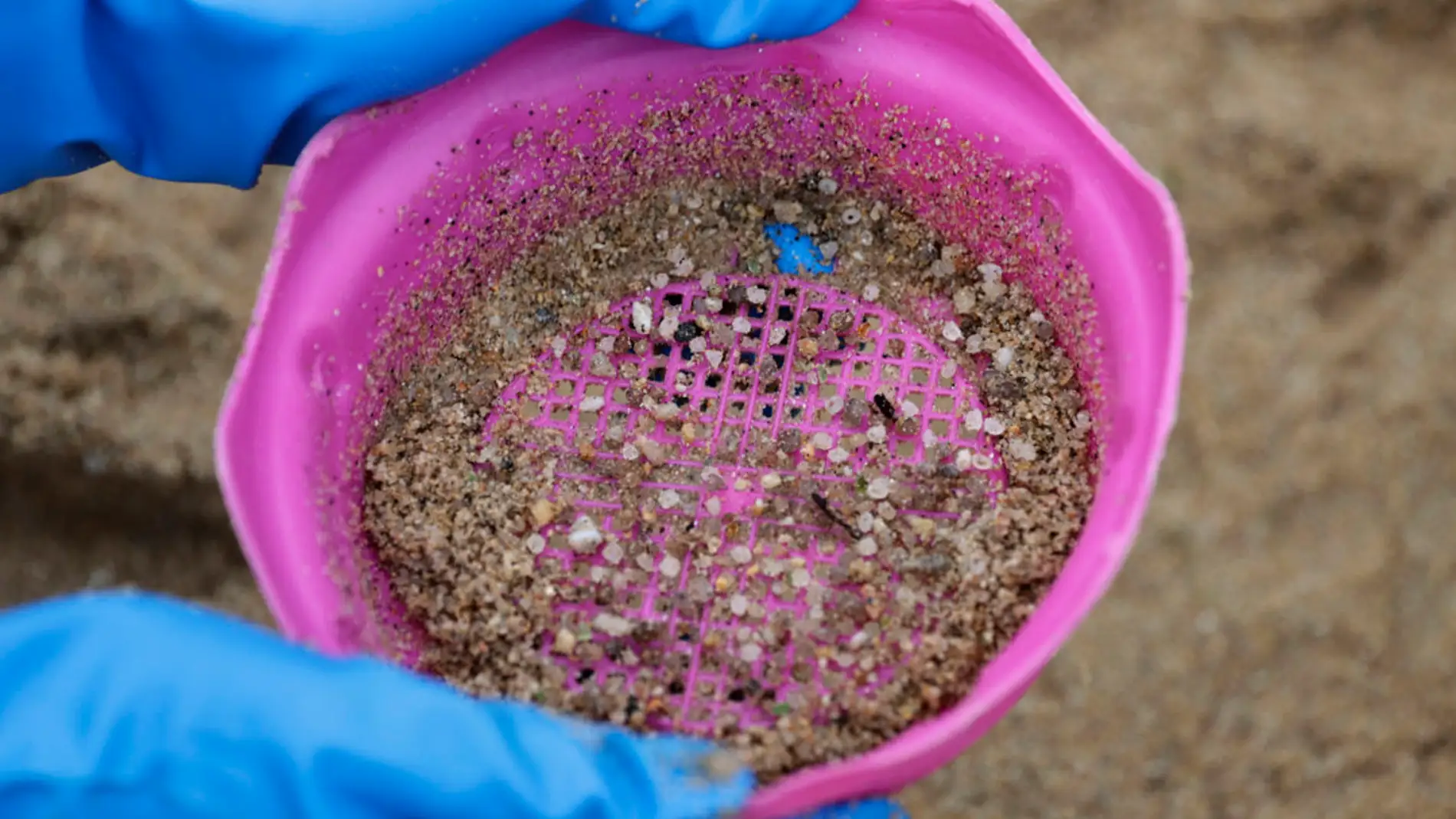Una voluntaria recogía pellets de plástico este lunes en la playa coruñesa de O Portiño./ EFE/Cabalar