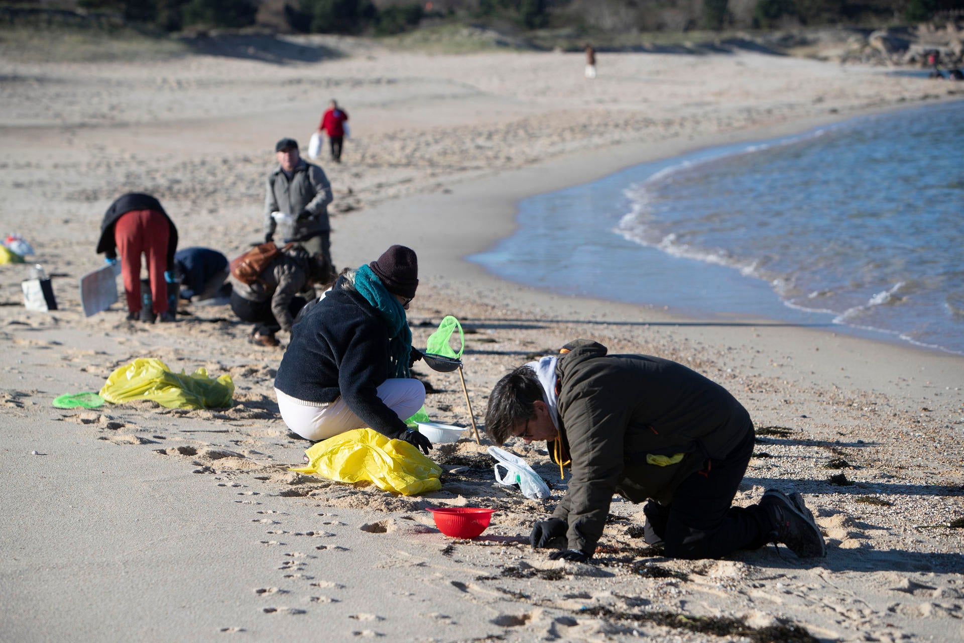 Cientos de voluntarios limpian las playas gallegas de pellets de plástico Cientos de voluntarios limpian las playas gallegas de pellets de plástico