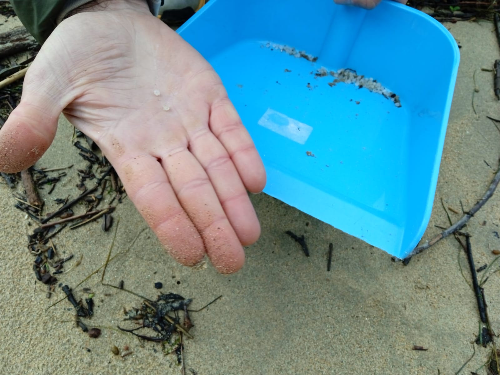 La platja de la Pineda és la que més microplàstics acumula de Catalunya La platja de la Pineda és la que més microplàstics acumula de Catalunya