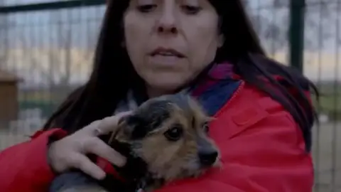 El perro Carajillo El perro Carajillo