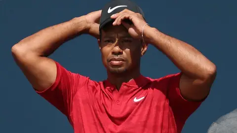 tiger tiger