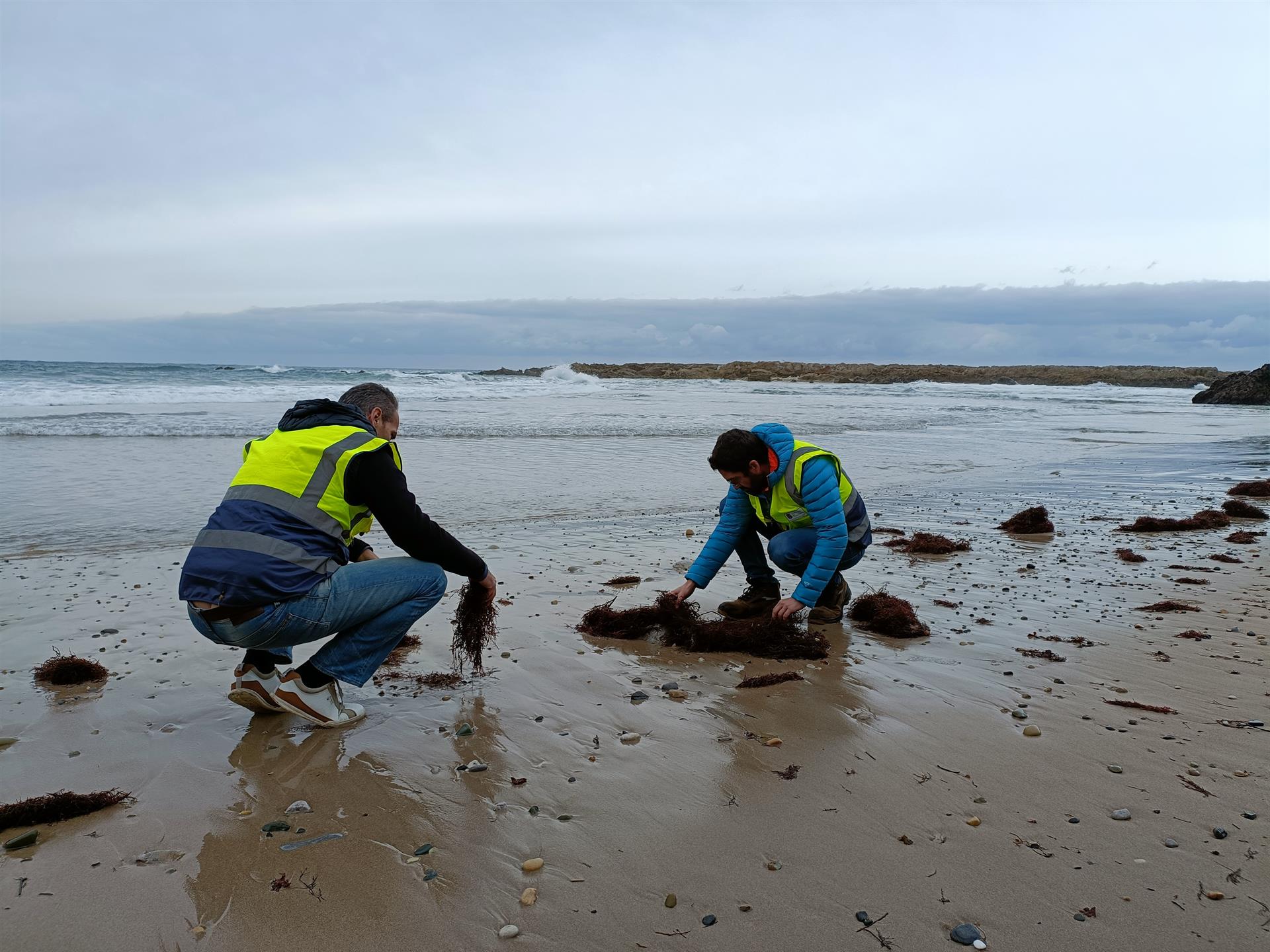 Cantabria activa el nivel 2 ante la llegada de pellets a las playas Cantabria activa el nivel 2 ante la llegada de pellets a las playas