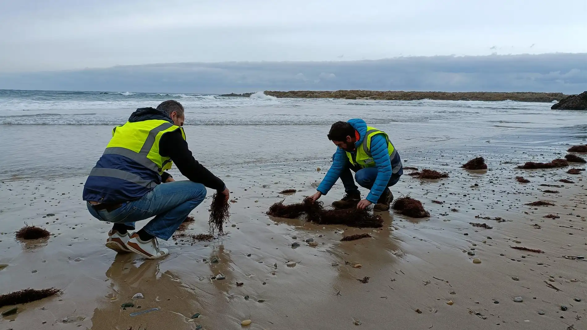 Cantabria activa el nivel 2 ante la llegada de pellets a las playas