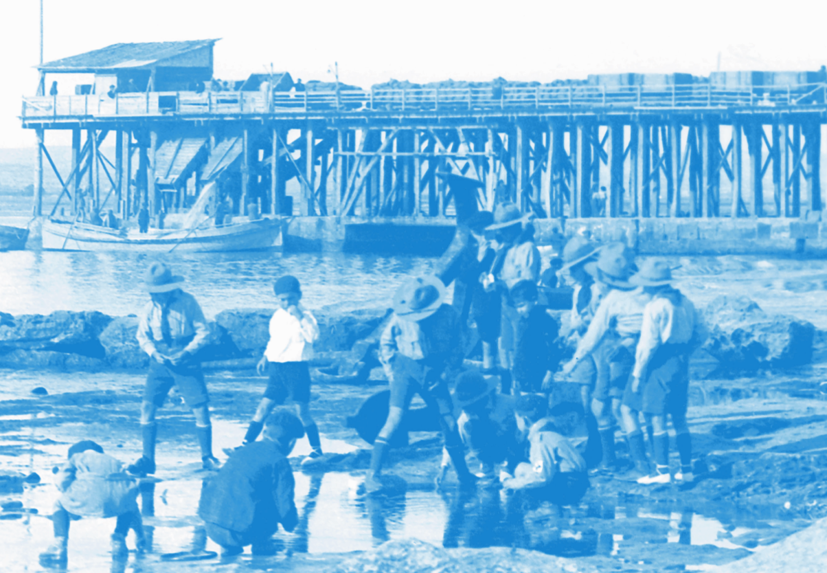 Torrevieja presenta la 2ª edición revisada y ampliada de "Las eras de la sal, origen de una ciudad" Torrevieja presenta la 2ª edición revisada y ampliada de "Las eras de la sal, origen de una ciudad"