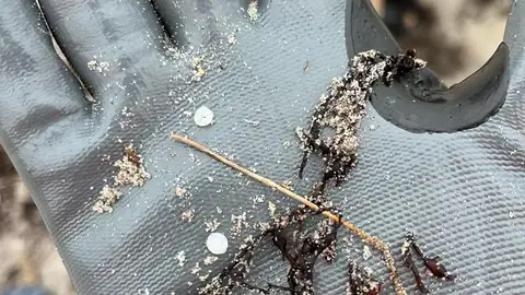 Pellets plásticos, playa Patos Pellets plásticos, playa Patos