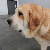 . .