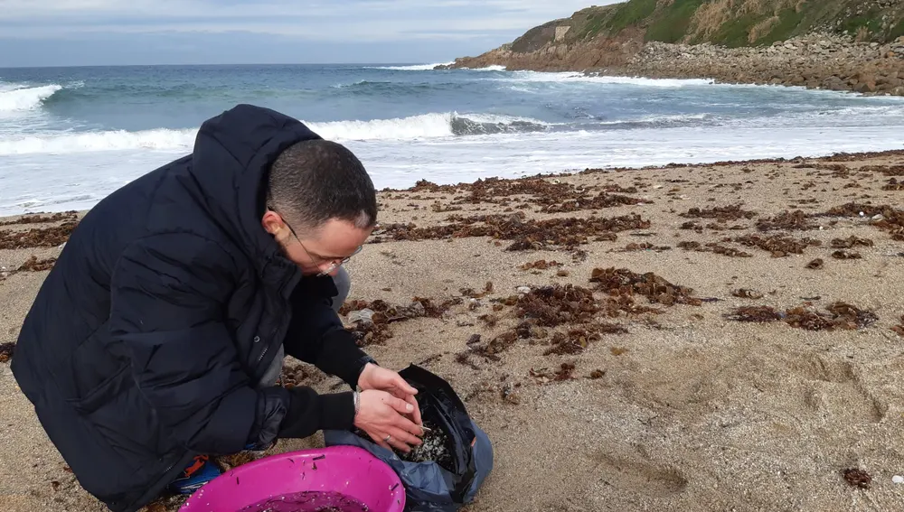 Un hombre recogiendo pellets de la playa.